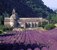 Abbey of Senanque